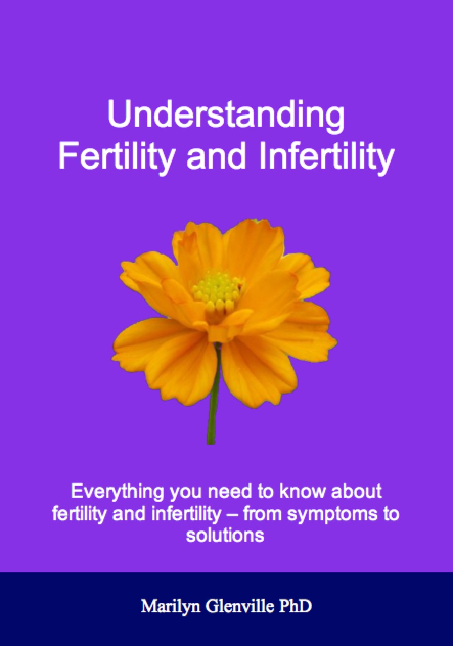 Understanding Fertility Ebook
