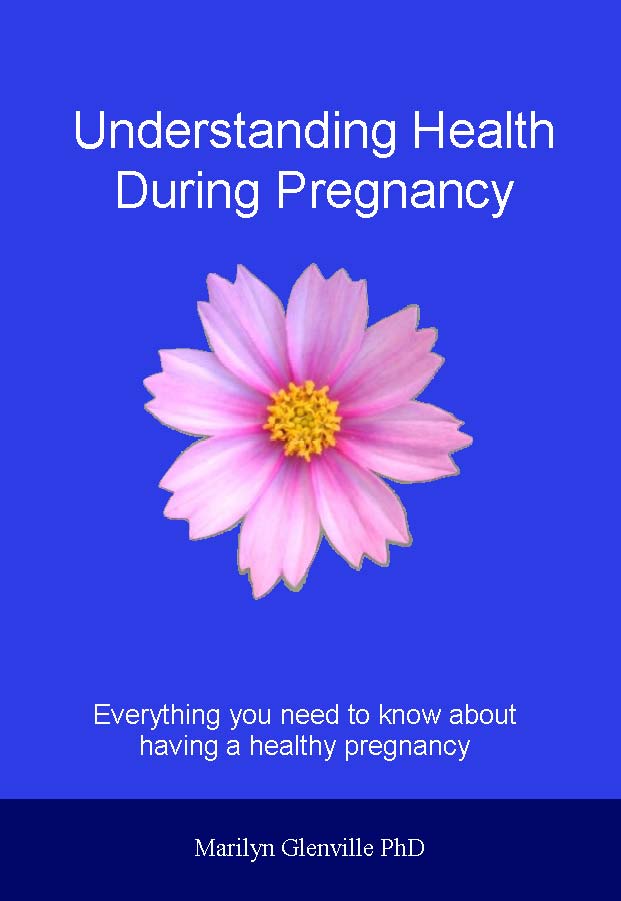 Understanding Health During Pregnancy Ebook
