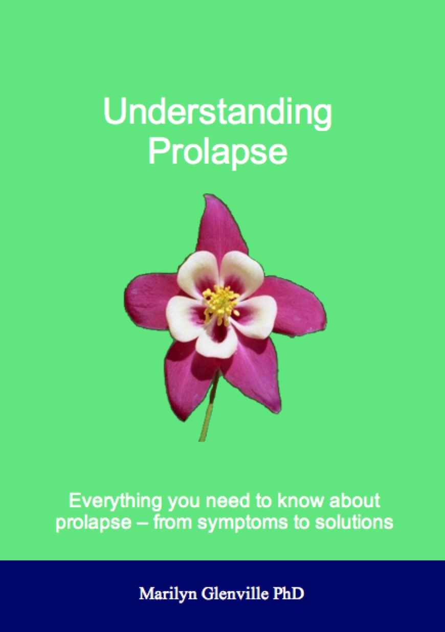 Understanding Prolapse Ebook